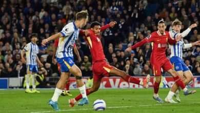بدلاء هيرتزلر يصنعون الفارق ويقودون برايتون لهزيمة ليفربول