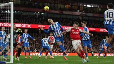 هدية عيد الميلاد المتأخرة من روتر تؤكد تفوق أرسنال على برايتون